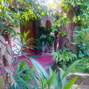  Privatunterkunft Gangula Eco